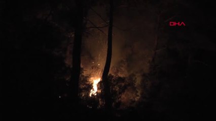 Antalya Kemer'de Orman Yangını 1 Saatlik Çalışmayla Söndürüldü Hd