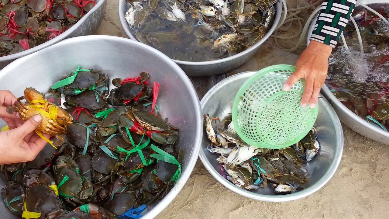 Biển Long Cung, Vũng Tàu sáng cuối tuần 15.7.2018 vui quá