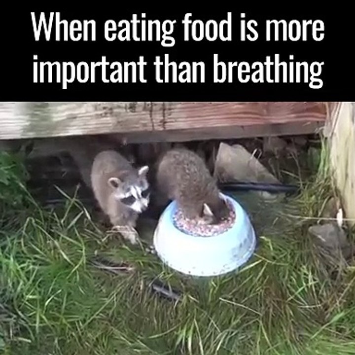 when eating is more important then breathing  - D