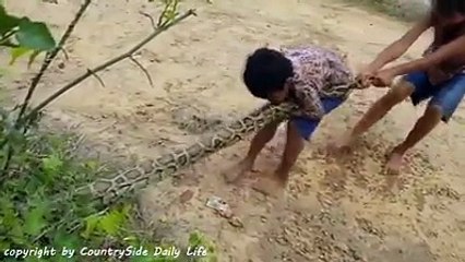 bachcho ne jinda snake ko kaise pakra dekho