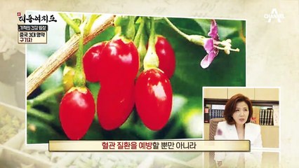 삶의 활력 되찾아주는 건강 열매 '구기자' 더 맛있게 먹는 비법?