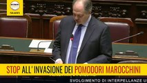 Lupo (M5S): “Basta agli accordi Ue che massacrano il Made in Italy”