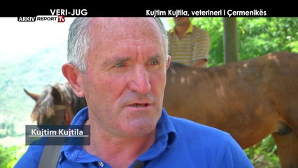 VERI JUG - KUJTIM KUJTILA, VETERINERI I ÇERMENIKËS