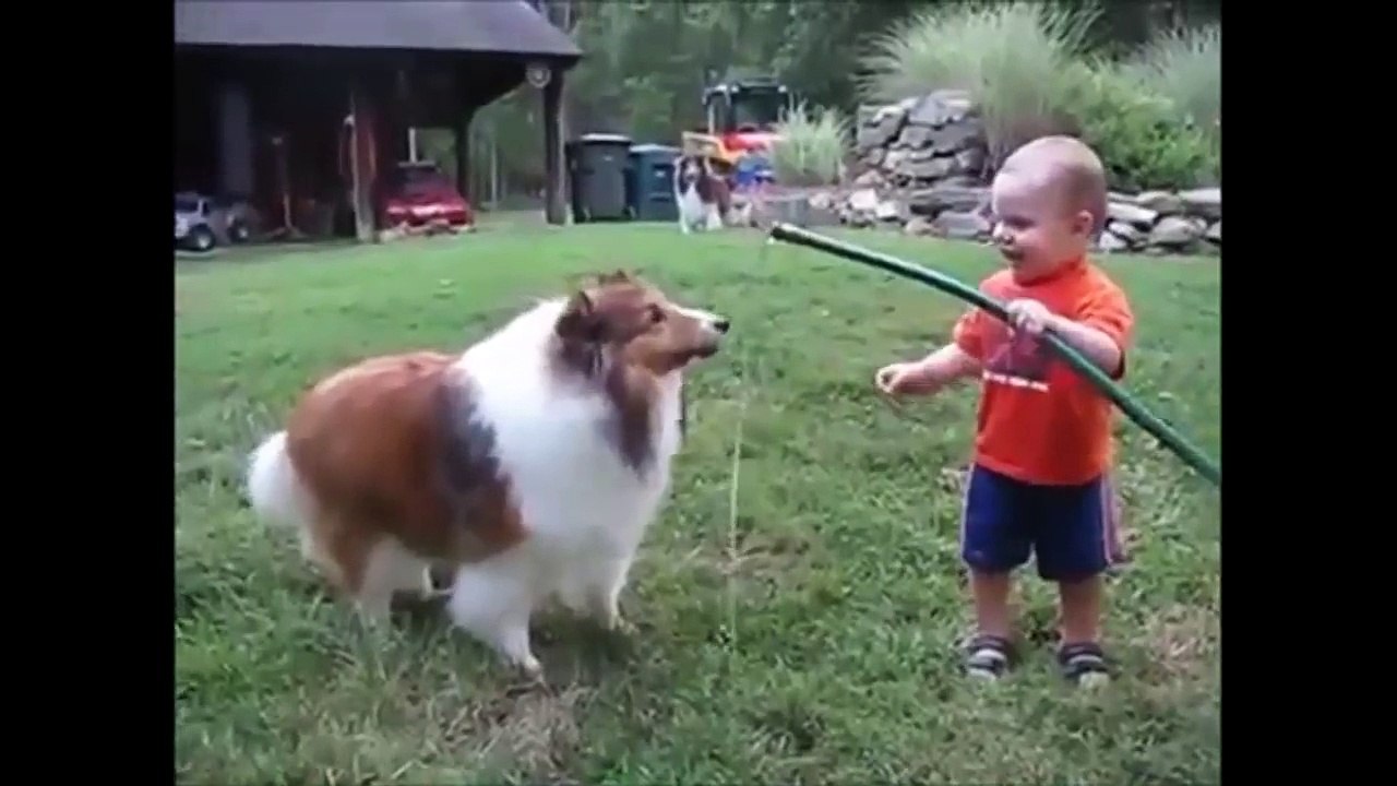 #Baby and Dog play with Hose MP4 Best Funny Video-2017