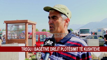 TREGU I BAGËTIVE DREJT PLOTËSIMIT TË KUSHTEVE