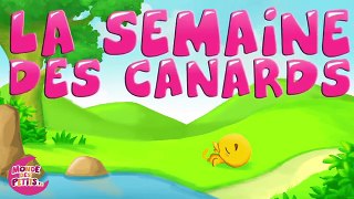 La semaine des canards