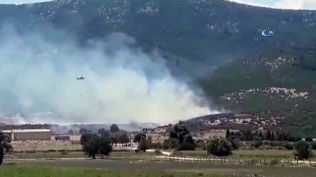 İzmir'de orman yangını... Söndürme çalışmaları devam ediyor