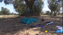 Incidente mortale in Puglia: muoiono due persone, bambini feriti restano senza padre