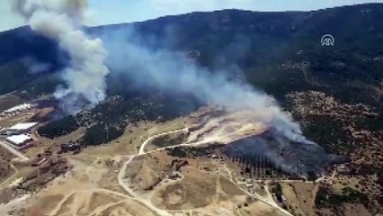 Otluk makilik alanda yangın - İZMİR