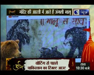 भालुओें के भक्ति-लोक की अदभुत कहानी, मंदिर की आरती में आते है जंगली भालू