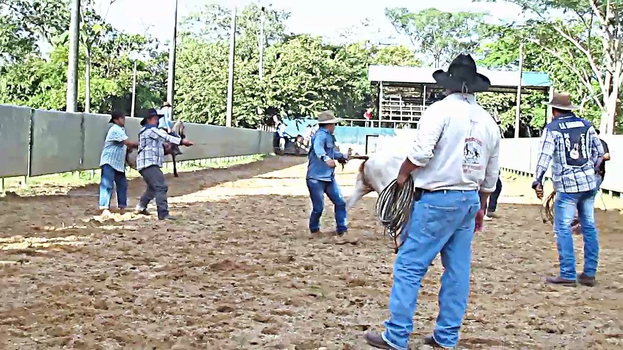 LAZO CRIOLLO A PIE POR PAREJAS
