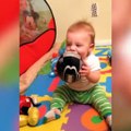 The relastionship between these dogs and babies is sooo cuute!  Watch in HD and with Sound Follow Howlers for more!