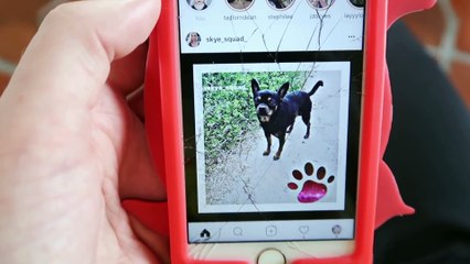INSTAGRAM FOLLOWERS CONTROL MY LIFE FOR A DAY!