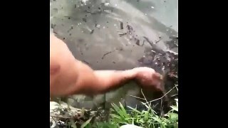 This Man Hand Feeding Fish Like We Hand Feed Our Dogs