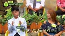 김부자 별장 지은 北측량원 출신, 윤경철이 말하는 평양 건물들의 실체!