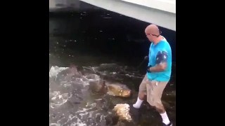 Catched Giant Goliath Grouper
