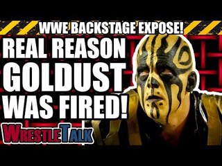 Real Reason Goldust Was FIRED In 2012 | WWE Backstage Expose