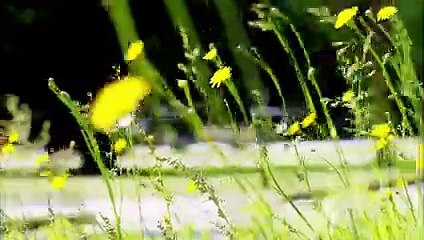 Kim of Queens S02 E08 Kick Some Sash