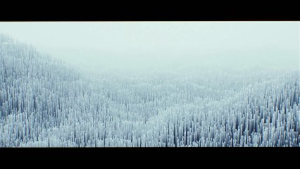 THE FUTURE SMARTPHONES