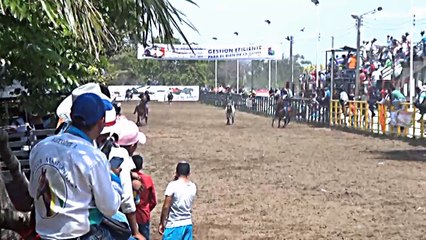 COLEO SULLE COSTE DI RIO META