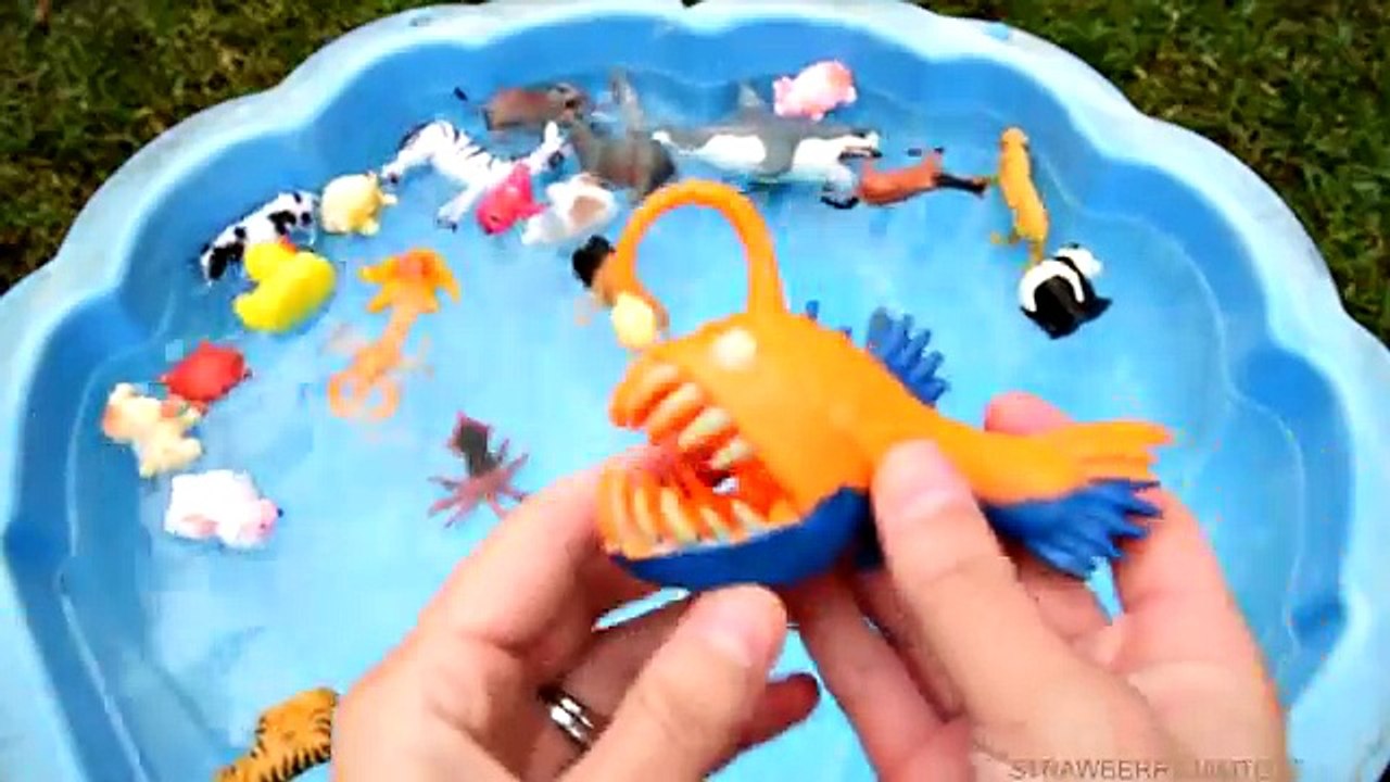 Lots of Zoo Wild Animals Learn Colors For Children With Real Safari Videos