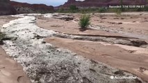 Reed catches another newly formed flash flood in Utah