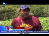 #TVNoticias Los productores de maíz, frijoles, cebollas entre otros, aseguran que este invierno ha sido de provecho en el departamento de Boaco, por tal razón e