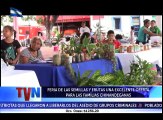 #TVNoticias Semillas para siembra de arroz y trigo, y frutas  fueron ofertados en Chinandega, como parte de la Feria de Semillas, promovida por el INTA y MEFCCA