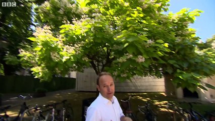 London can expect hotter summers in the future – BBC London News