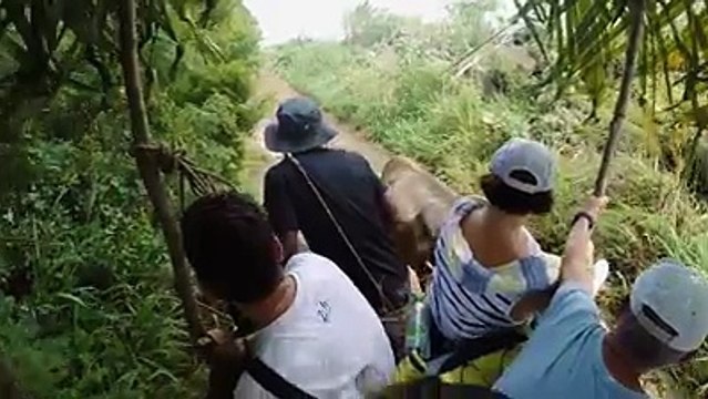 Partons ensemble pour une balade à remonter le temps, à bord d’une charrette à bœufs entre champs de canne à sucre et patrimoine créole. En savoir plus =>
