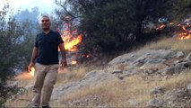Mersin'de Zeytinlik ve Ormanlık Alanda Yangın