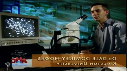 Dawn of the Apocalypse S01 - Ep01 The Greek gra've HD Watch