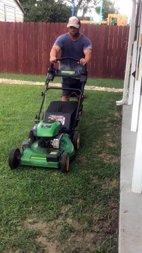 Tortoise Chases Lawnmower