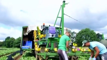 Wararkii ugu Danbeeyey Trump oo Kashifay Sir ay usheegtay Boqorada ingiriiska