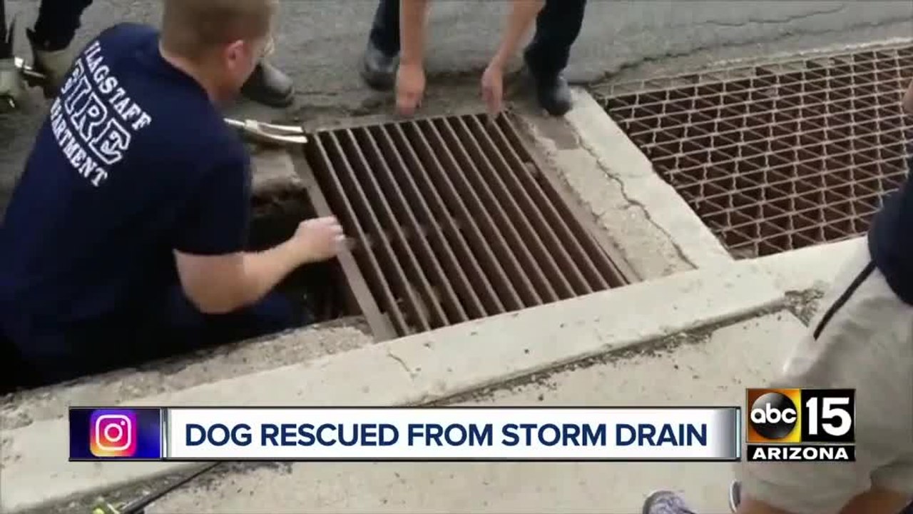 Top stories: 6 hurt in Phoenix crash; Teen arrested after crash; Dog rescued from Flagstaff storm drain; Rain chances for Monday