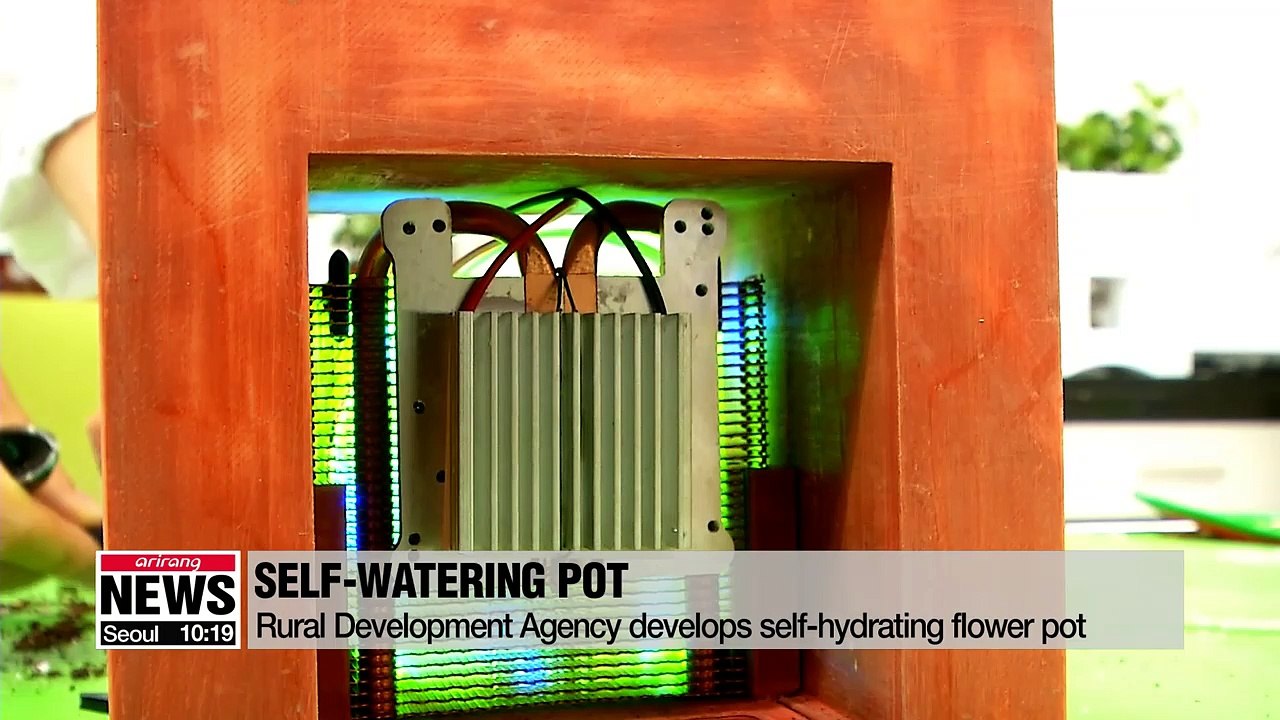 Korean researchers develop self-watering flower pot