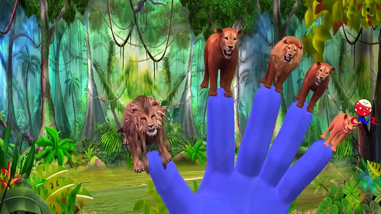 Wild Animals Playing and Singing Finger Family Song Nursery Rhymes For Kids Children Toddlers Babies