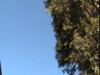 ufo observed in Australia