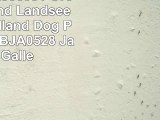 3dRose orn936091 Oregon Portland Landseer Newfoundland Dog Puppy US38 BJA0528 Jaynes