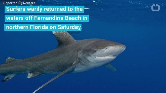 Florida Beach Reopens After Rare, Double Shark Attack