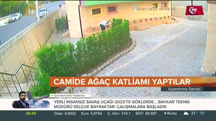 31 ağacı kesip kaçtılar