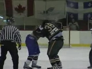 Langlais vs fournier