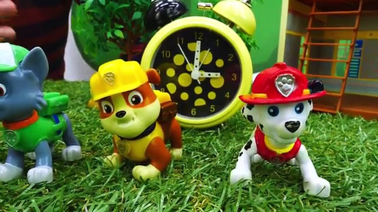 La Garderie de Romain № 12. Les jouets de la PatPatrouille nagent dans la piscine