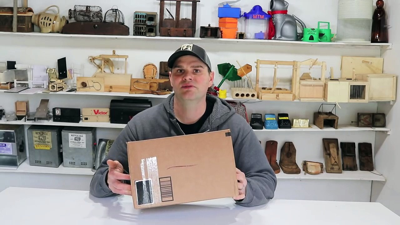 Testing Out The Quicksand Mouse Trap Kit Sold On Amazon. video Dailymotion