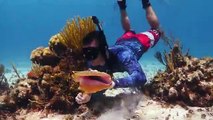Diving for CONCH in the Cayman Islands