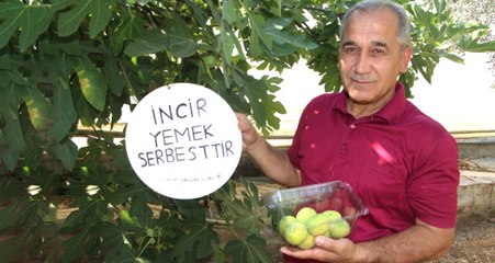 İncirinden Yiyen Olmayınca Bahçesine "Yemek Serbesttir" Tabelası Astı