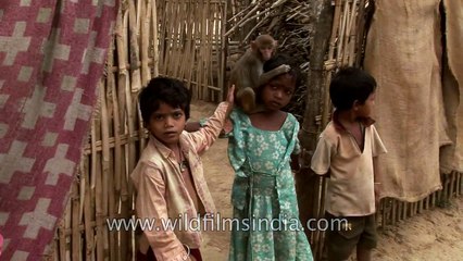 Little Assamese girl with macaque monkey sitting on her shoulder