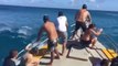 Ils s'amusent à prendre les vagues géantes dans leur yacht : impressionnant