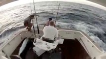 Un marlin saute dans le bateau et le pecheur saute à la mer