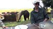 Un éléphant vient perturber un repas de touristes au Zimbabwe